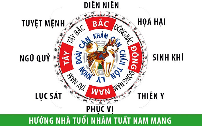 sinh năm 1982 hợp hướng nào