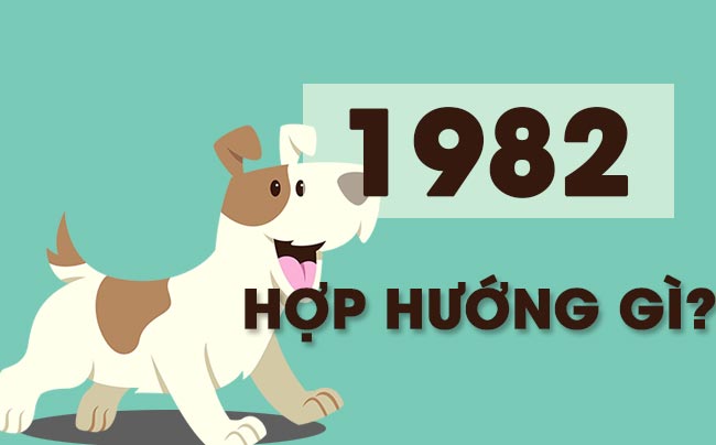 sinh năm 1982 hợp hướng nào