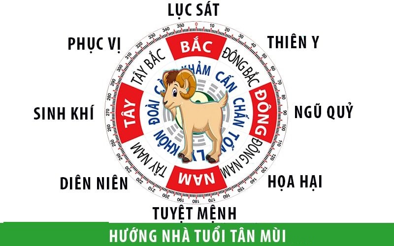 Người sinh năm 1991 hợp hướng nào - những điều cần lưu ý