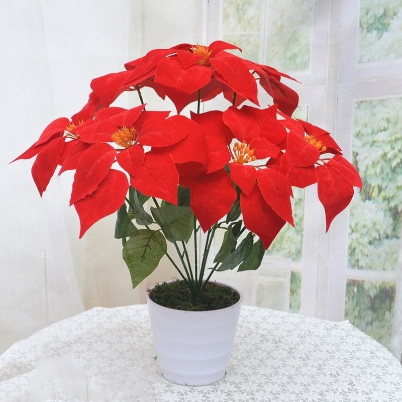 tuổi bính dần nên trồng cây gì